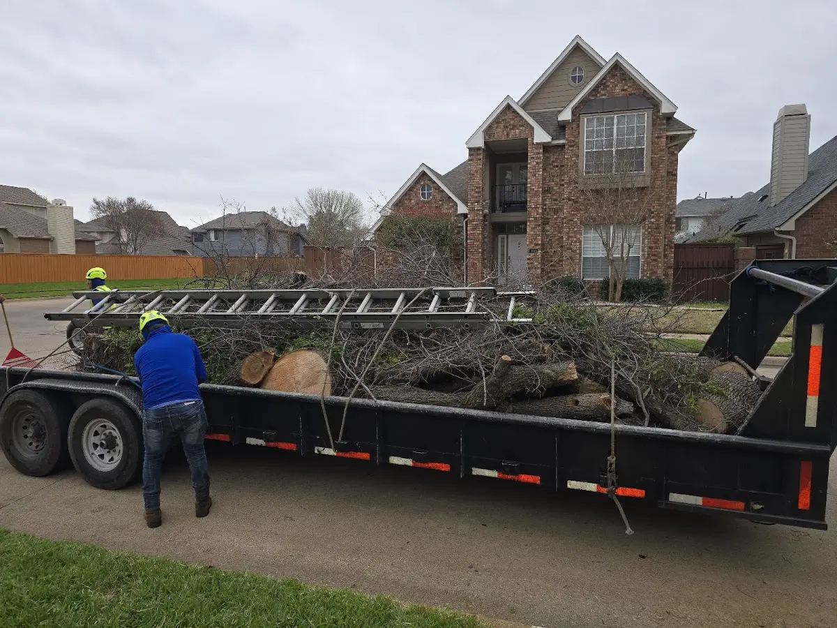 Expert Tree Pest Control with proper safety equipment in Bainbridge